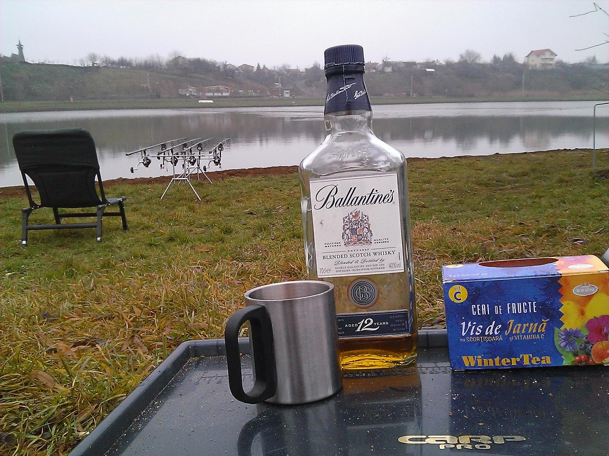 Floarea Popestiului 30 - 30 dec. - wp20131230011.jpg